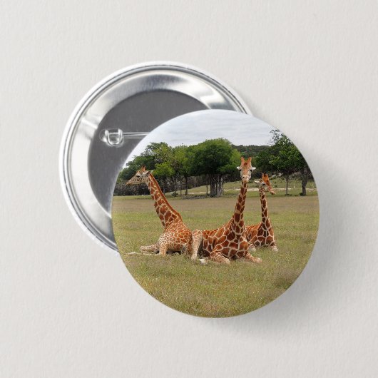 Badge Rond 5 Cm Trois girafe à Fossil Rim (Devant & derrière)
