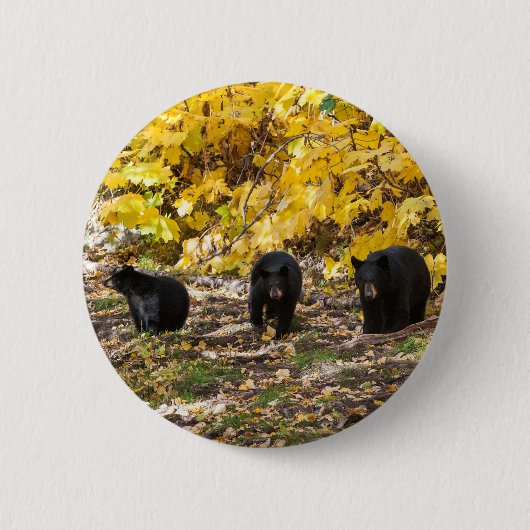 Badge Rond 5 Cm Trois ours (Devant)