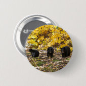Badge Rond 5 Cm Trois ours (Devant & derrière)