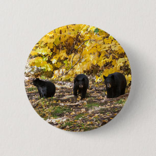 Badge Rond 5 Cm Trois ours