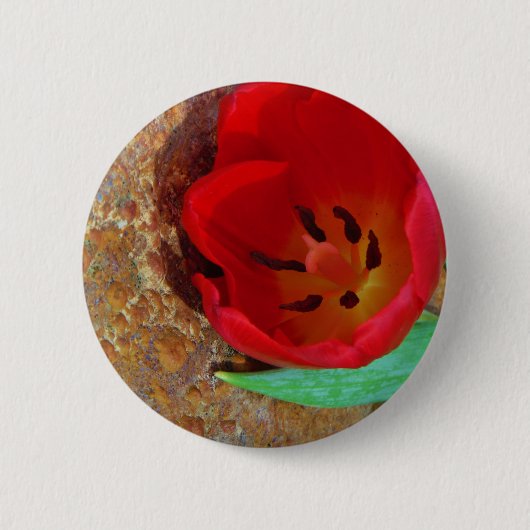 Badge Rond 5 Cm Tulipe jaune printemps et rouge (Devant)