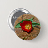 Badge Rond 5 Cm Tulipe rouge du printemps (Devant & derrière)