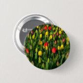 Badge Rond 5 Cm Tulipes colorées (Devant & derrière)
