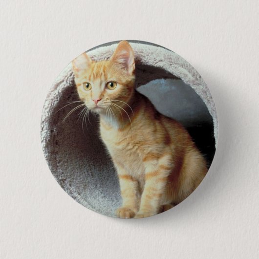 Badge Rond 5 Cm Tunnel de lecture Kitten (Devant)