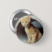 Badge Rond 5 Cm Tunnel de lecture Kitten (Devant & derrière)