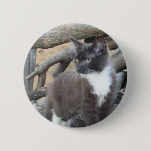 Badge Rond 5 Cm Tuxedo Kitten