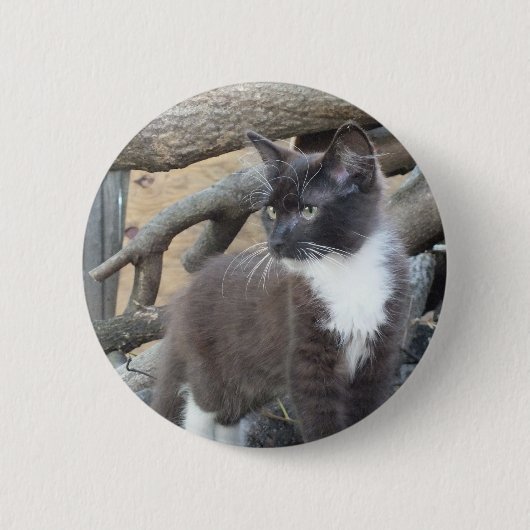 Badge Rond 5 Cm Tuxedo Kitten (Devant)