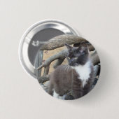 Badge Rond 5 Cm Tuxedo Kitten (Devant & derrière)