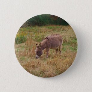 Badge Rond 5 Cm Un âne dans un champ d'automne.