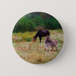 Badge Rond 5 Cm Un âne et un cheval dans un champ d'automne.