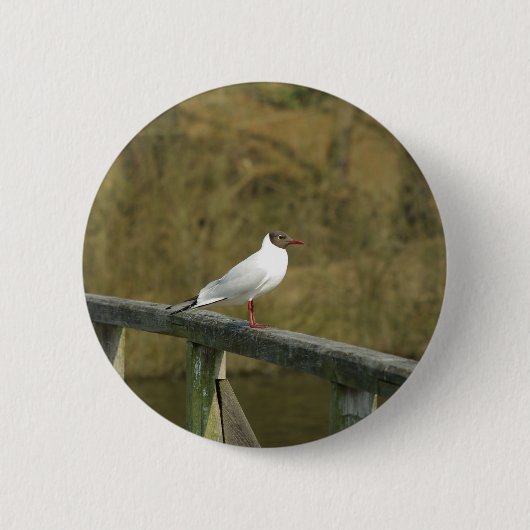Badge Rond 5 Cm Un bouton sterne (Devant)