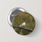 Badge Rond 5 Cm Un bouton sterne (Devant & derrière)