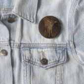 Badge Rond 5 Cm Un veau du Jersey (En situation)