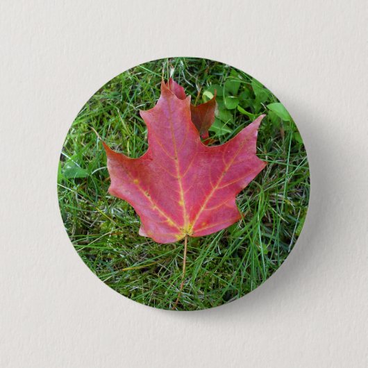Badge Rond 5 Cm Une feuille d'érable rouge sur l'herbe (Devant)