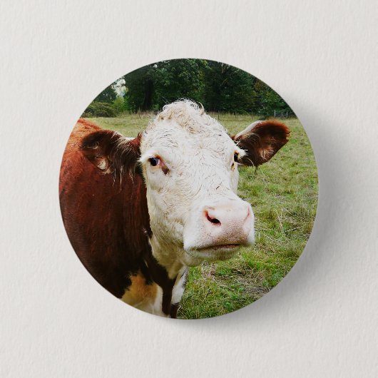Badge Rond 5 Cm Vache de boucherie faite face blanche (Devant)