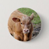 BADGE ROND 5 CM VACHES (Devant)