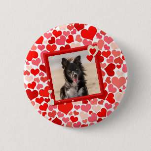 Badge Rond 5 Cm Valentines Frontière Collie Coeurs de chien