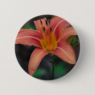 Badge Rond 5 Cm Vêtements et Cadeaux de Journée Dorée Merveilleux