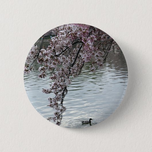 Badge Rond 5 Cm Washington DC de fleurs de cerisier (Devant)
