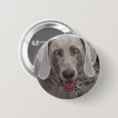 Badge Rond 5 Cm Weimaraner (Devant & derrière)