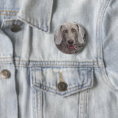 Badge Rond 5 Cm Weimaraner (En situation)