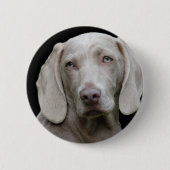 Badge Rond 5 Cm Weimaraner Silver Grey (Devant)