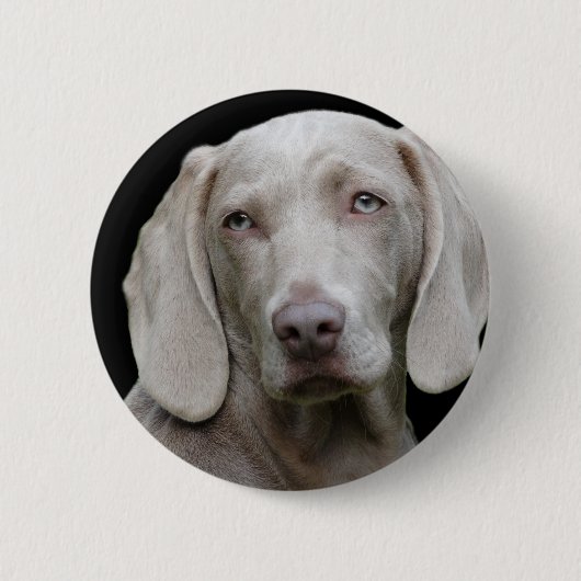 Badge Rond 5 Cm Weimaraner Silver Grey (Devant)