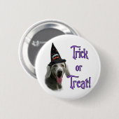 Badge Rond 5 Cm Weimaraner Trick (Devant & derrière)