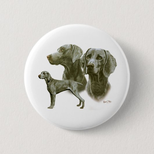 Badge Rond 5 Cm Weimeraner (Devant)