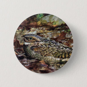 Badge Rond 5 Cm Whippoorwill caché