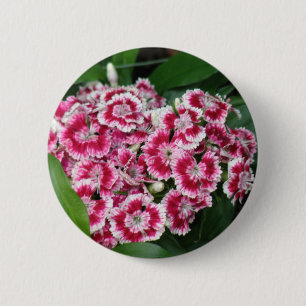 Badge Rond 5 Cm William doux fleurit autour du bouton