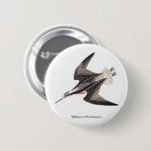 Badge Rond 5 Cm Wilson's Phalarope par John James Audubon, (Devant & derrière)