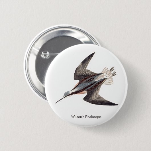 Badge Rond 5 Cm Wilson's Phalarope par John James Audubon, (Devant & derrière)