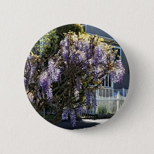Badge Rond 5 Cm Wisteria (Devant)