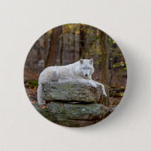 Badge Rond 5 Cm Wolf à l'automne (Devant)