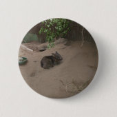 Badge Rond 5 Cm Wombat (Devant)