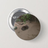 Badge Rond 5 Cm Wombat (Devant & derrière)