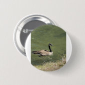 Badge Rond 5 Cm xcvdvdf (Devant & derrière)