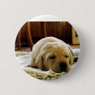 Badge Rond 5 Cm yellow 2 lab puppy