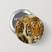 Badge Rond 5 Cm Yeux de tigre (Devant & derrière)