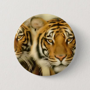 Badge Rond 5 Cm Yeux de tigre
