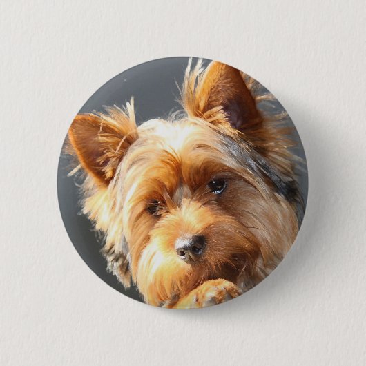 Badge Rond 5 Cm yorkie (Devant)