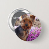 Badge Rond 5 Cm Yorkshire Terrier (Devant & derrière)