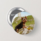 Badge Rond 5 Cm Yorkshire Terrier (Devant & derrière)