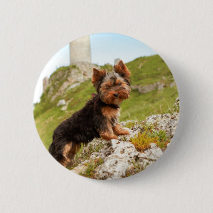 Badge Rond 5 Cm Yorkshire Terrier