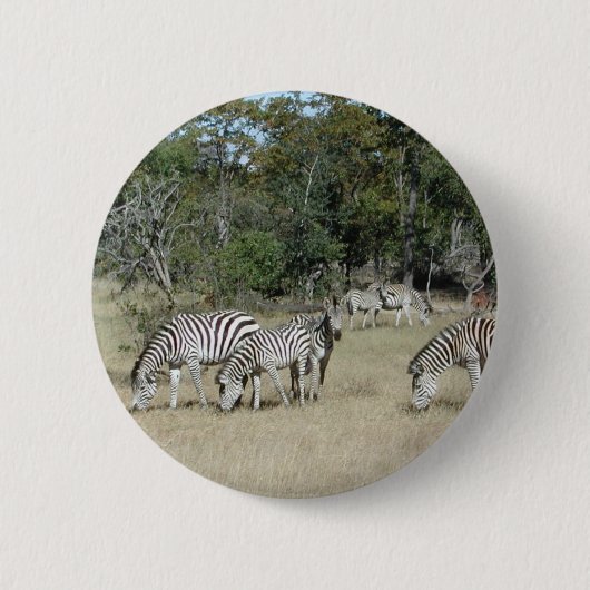 Badge Rond 5 Cm Zèbres (Devant)