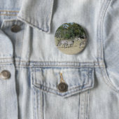 Badge Rond 5 Cm Zèbres (En situation)