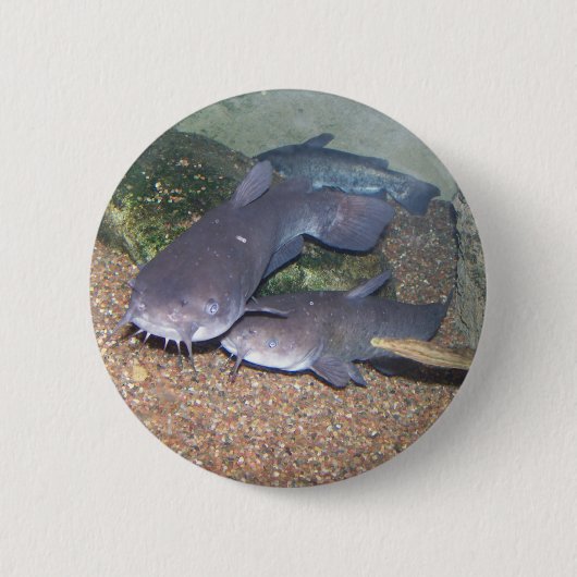 Badge Rond 5 Cm Zoo de pêche de poisson-chat (Devant)