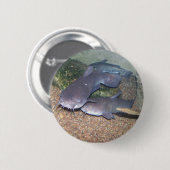 Badge Rond 5 Cm Zoo de pêche de poisson-chat (Devant & derrière)