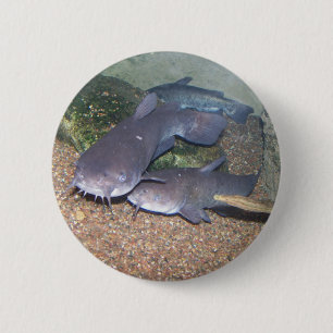 Badge Rond 5 Cm Zoo de pêche de poisson-chat